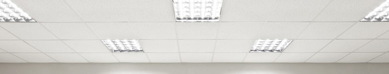 Kategorie Rasterleuchten